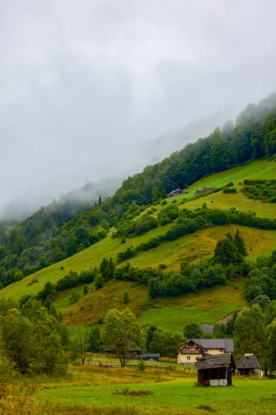 Красивый Пейзаж Горной Местности Карпатах Румыния — стоковое фото