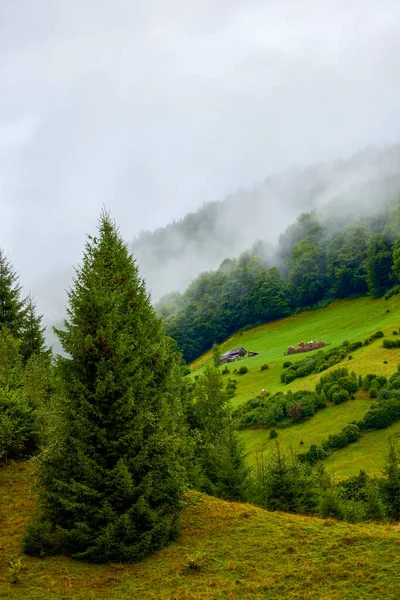 Красивый Пейзаж Горной Местности Карпатах Румыния — стоковое фото