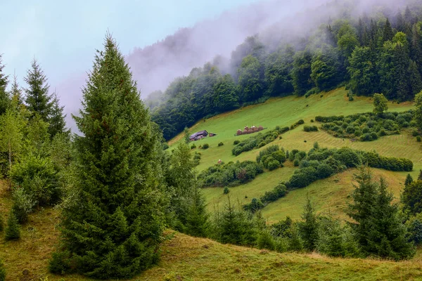 Прекрасний Краєвид Горах Карпат Румунія — стокове фото
