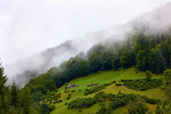 Красивый Пейзаж Горной Местности Карпатах Румыния — стоковое фото