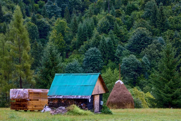 Schöne Landschaft Der Bergregion Den Karpaten Rumänien — Stockfoto