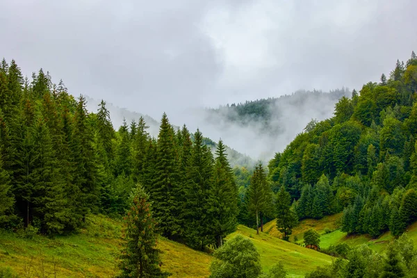 Krásná Krajina Horské Oblasti Karpatech Rumunsko — Stock fotografie