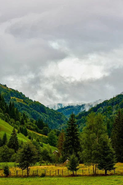 Bela Paisagem Área Montanha Nas Montanhas Dos Cárpatos Roménia — Fotografia de Stock