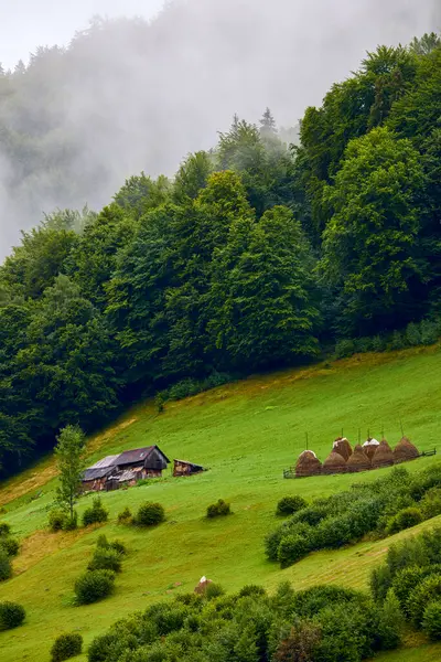 Hermoso Paisaje Zona Montaña Las Montañas Los Cárpatos Rumania —  Fotos de Stock