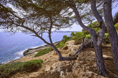 Palma De Mallorca adasında güzel bir deniz manzarası.