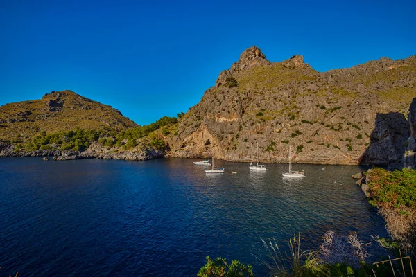 Schöne Landschaft Mit Einer Meeresküste Auf Der Insel Palma Mallorca — Stockfoto