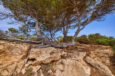 Palma De Mallorca (Balearic Adaları İspanya) adasındaki güzel dağ manzarası)