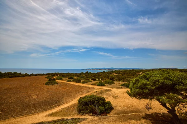 Vackert Landskap Med Havsstrand Palma Mallorca — Stockfoto