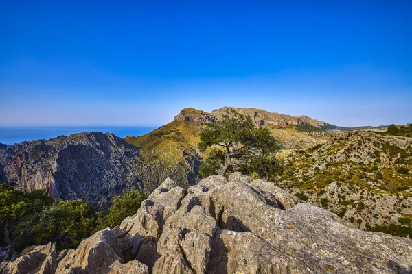 Krásná Horská Krajina Ostrově Palma Mallorca Baleárské Ostrovy Španělsko — Stock fotografie