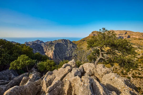 Piękny Krajobraz Górski Wyspie Palma Mallorca Baleary Hiszpania — Zdjęcie stockowe