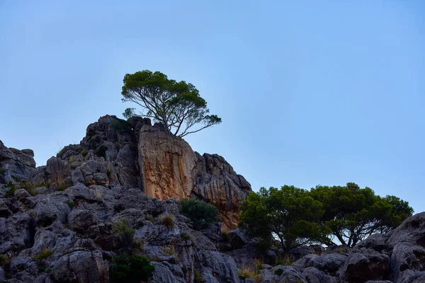 Krásná Horská Krajina Ostrově Palma Mallorca Baleárské Ostrovy Španělsko — Stock fotografie