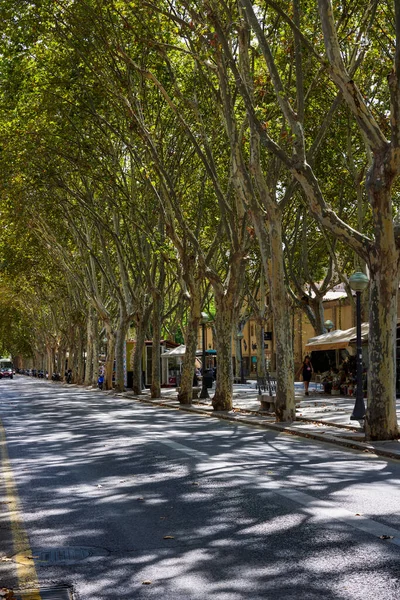 Palma Mallorcas Gamla Stad Mallorca Balearerna Spanien September 2021 — Stockfoto