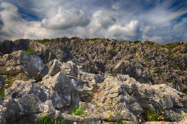 Krásná krajina s břehu oceánu v asturias, Španělsko — Stock fotografie