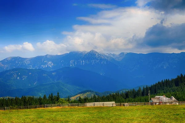 在山的美丽的夏天景观。罗马尼亚 — 图库照片