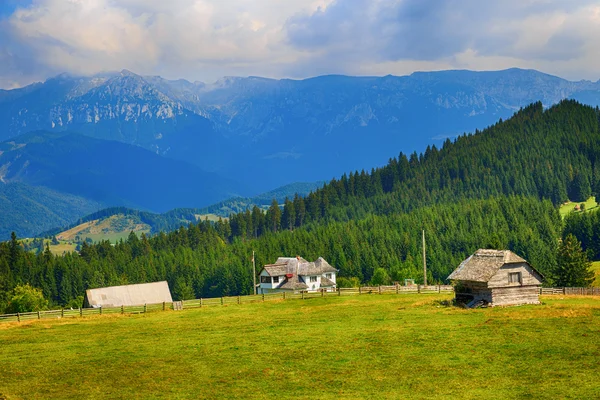 Dağlarda güzel yaz peyzaj. Romanya — Stok fotoğraf