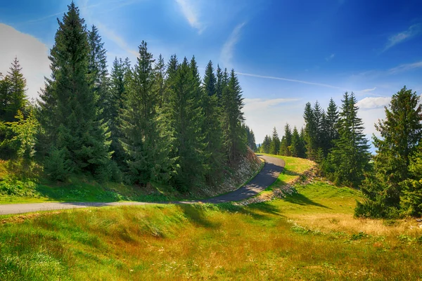 Mooie zomerse landschap in de bergen. Roemenië — Stockfoto