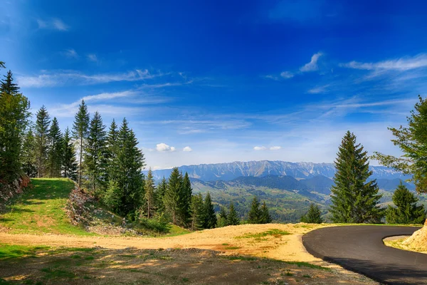 Beautiful summer landscape in the mountains. Romania — Stock Photo, Image