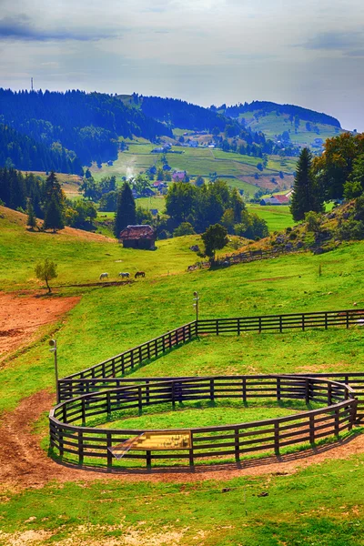 Прекрасний літній пейзаж у горах. Румунія — стокове фото