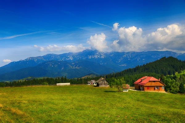 Hermoso paisaje de verano en las montañas. Rumanía —  Fotos de Stock