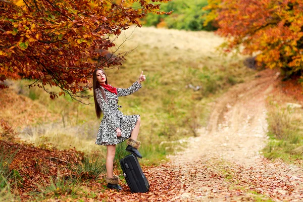Beautiful girl waiting on a country road with her suitcase. — Stock Photo, Image