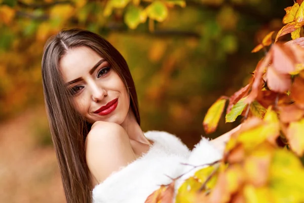 Young brunette woman portrait in autumn color — Stock Photo, Image