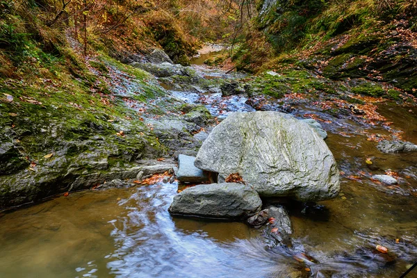 Paisaje con cañón y río Valea lui Stan en Rumania, en — Foto de Stock