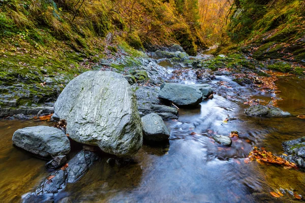 Valea lui Stan Kanyon, yatay ve Romanya'da inci Nehri — Stok fotoğraf