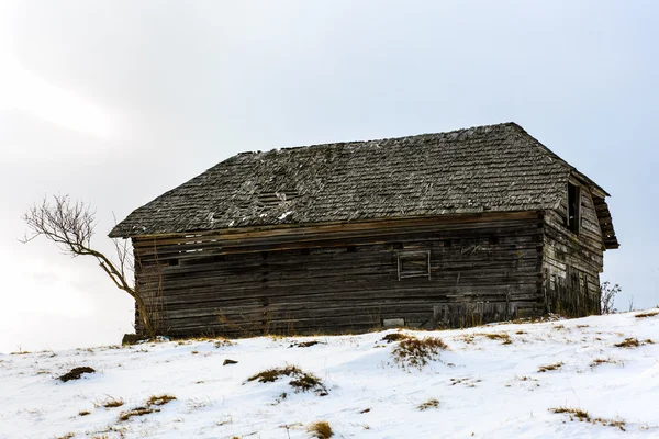 Old wooden barn in the countryside, in the winter — Stock Photo, Image