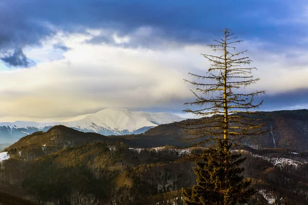 Landscape with snowy mountains under cloudy sky — Stock Photo, Image