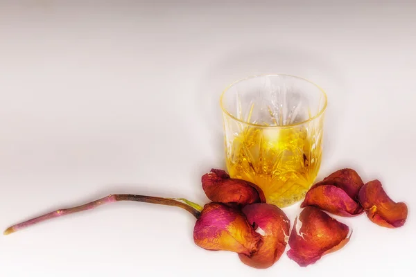 Kieliszek whisky i róża — Zdjęcie stockowe