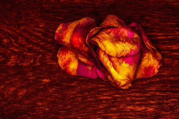 Rosa seca no fundo de madeira velha com espaço de cópia — Fotografia de Stock