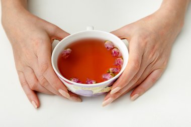 bir fincan çay çiçek gül dan tutan eller