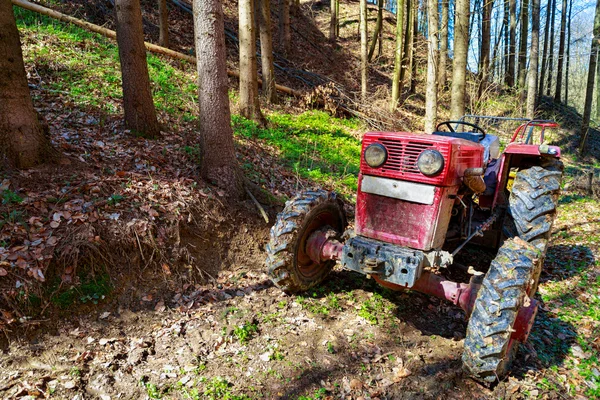 Vecchio trattore nella foresta al lavoro — Foto Stock