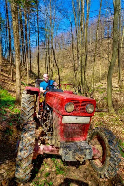 Zemědělec řídit starý traktor v lese — Stock fotografie