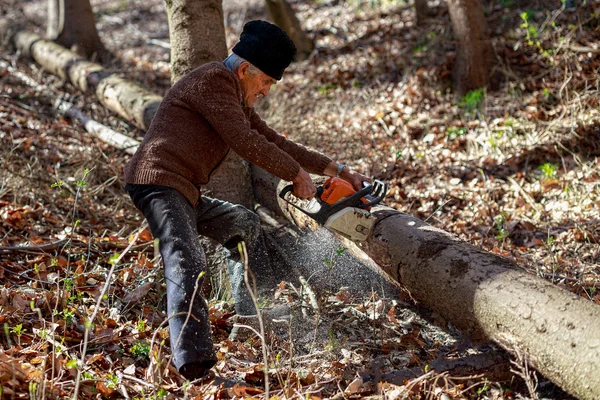 Old man cutting trees using a chainsaw in the forest — Stock Photo, Image