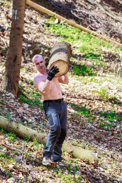 Strong man carrying a tree trunk — Stock Photo, Image