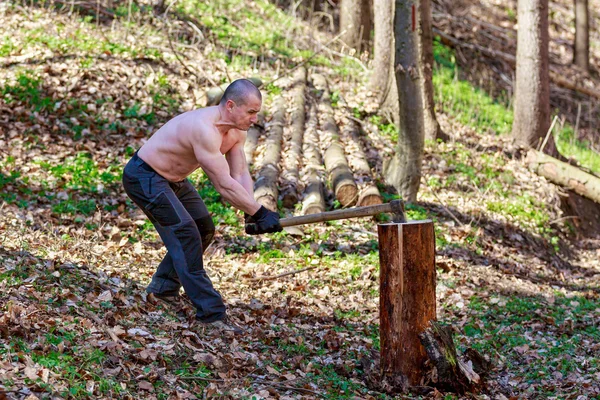 Woodcutter cut a trunk with an ax in forest — Stock Photo, Image