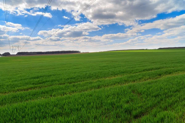 Paysage estival avec herbe verte, route et nuages — Photo