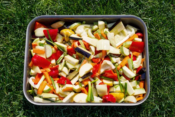 Plateau avec légumes mélangés sur fond d'herbe — Photo