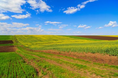 bulutlu gökyüzü altında bir çiftlik alanla manzara