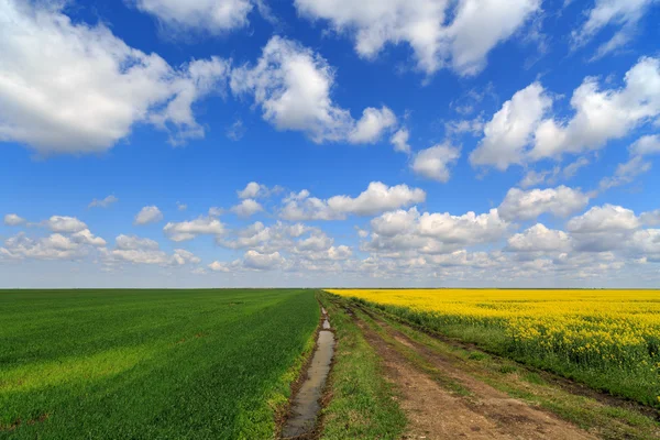 Paisagem com um campo de fazenda sob o céu com nuvens — Fotografia de Stock