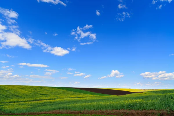 Paesaggio con un campo agricolo sotto il cielo con nuvole — Foto Stock