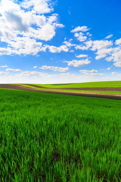 Paesaggio con un campo agricolo sotto il cielo con nuvole — Foto Stock