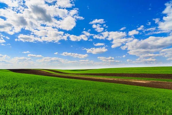 Landscape with a farm field under sky with clouds — Stock Photo, Image