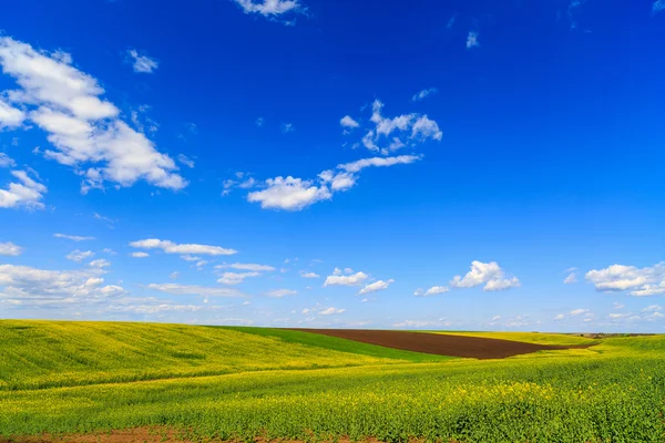 Bulutlu gökyüzü altında bir çiftlik alanla manzara — Stok fotoğraf