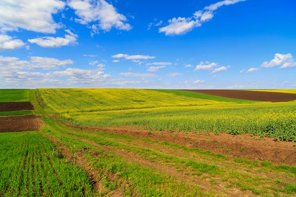 Landskap med en gård fältet under himlen med moln — Stockfoto