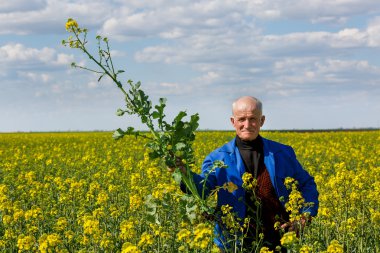 bitkiler araştıran bir alanda eski çiftçi
