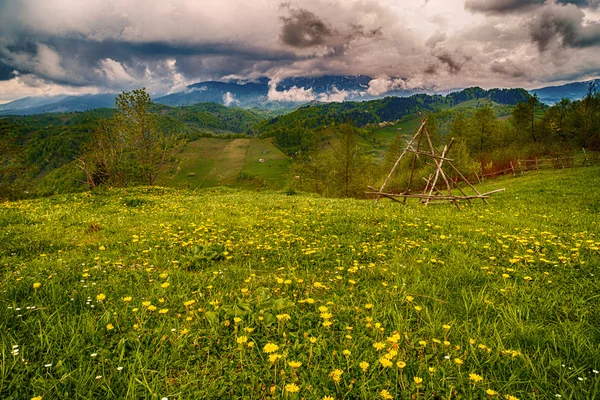背景の山と山の花の草原 — ストック写真