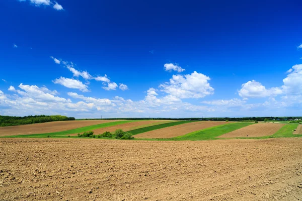 Paesaggio agricolo estivo con campi patchwork e siepi — Foto Stock