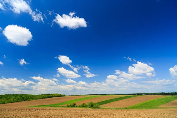 Paisaje de tierras agrícolas de verano con campos de patchwork y setos — Foto de Stock